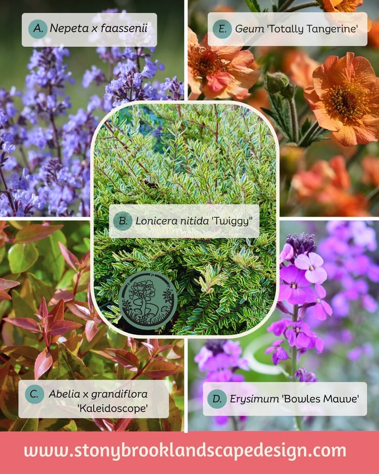 EASY PLANT COMBOS FOR SUMMER COLOR .INSTAG.pdf (2)