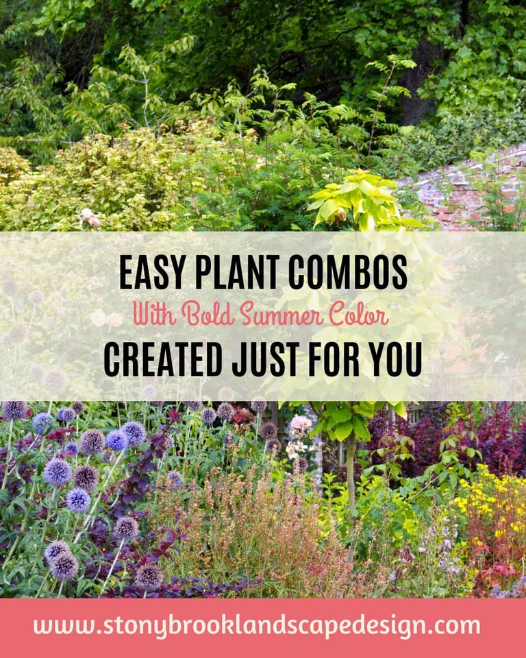 EASY PLANT COMBOS FOR SUMMER COLOR .INSTAG.pdf (4)-1