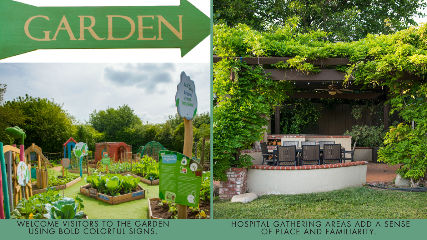 THERAPEUTIC GARDENS DESIGNED FOR HOSPITALS DEC 2024 (1)-1