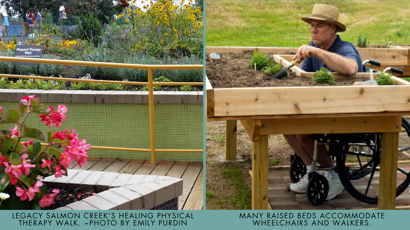 THERAPEUTIC GARDENS DESIGNED FOR HOSPITALS DEC 2024 (3)-2