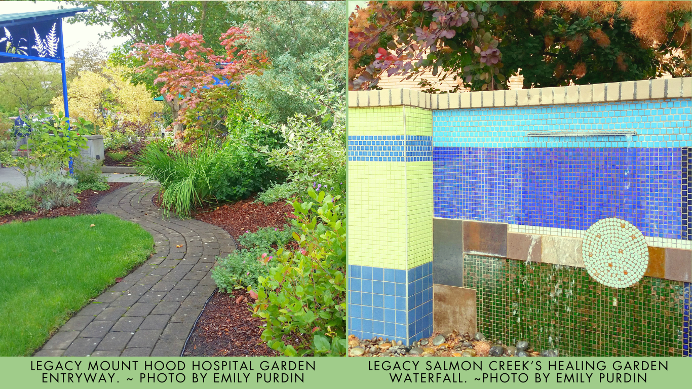 THERAPEUTIC GARDENS DESIGNED FOR HOSPITALS DEC 2024 (5)-1