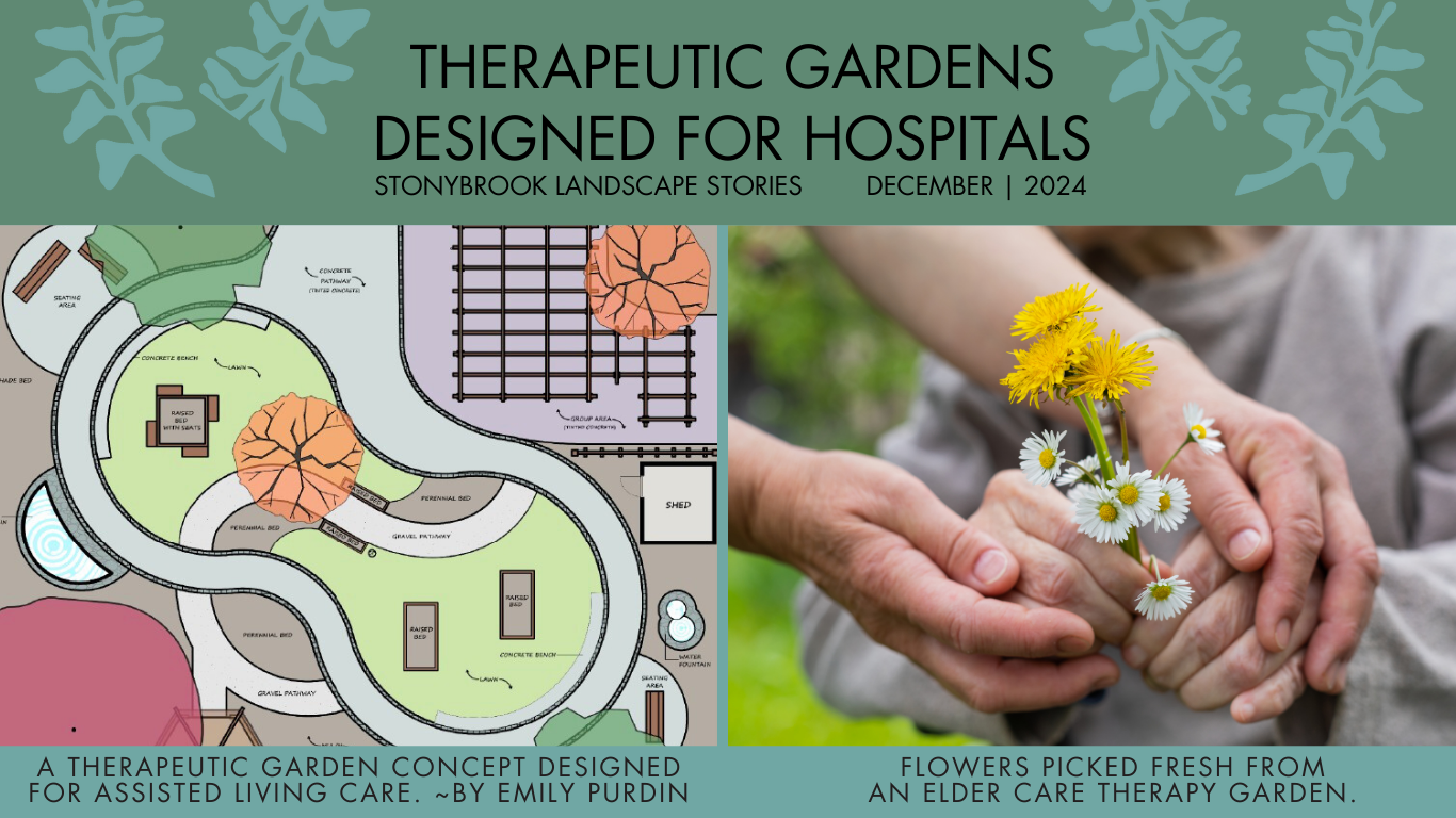 THERAPEUTIC GARDENS DESIGNED FOR HOSPITALS DEC 2024-1